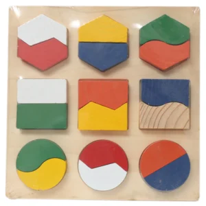 Intellectual Shapes Blocks (C09)