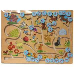 Intellectual Puzzle Set Maze (D031)