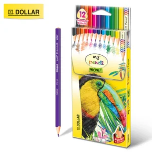 Dollar Full Color Pencil PTC-13 |Pack of 12 colors|