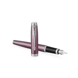 Parker IM CT Fountain Pen