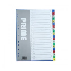 File Separator Plastic Pack of 10