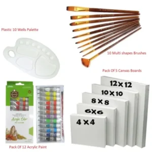28 Pcs/Set Value Pack For Artist - Canvases, Acrylic Paints, Multi Shape Brushes and 10 Wells Palette